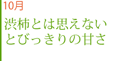 10月October-渋柿とは思えないとびっきりの甘さ-柿担当　岩崎耕次