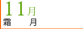 11月