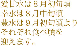 愛甘水は８月初旬頃幸水は８月中旬頃豊水は９月初旬頃よりそれぞれ食べ頃を迎えます。