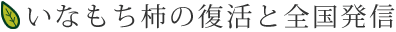 いなもち柿の復活と全国発信