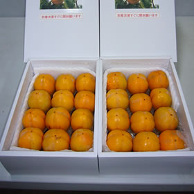 島根県産　西条柿