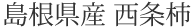 島根県産 西条柿